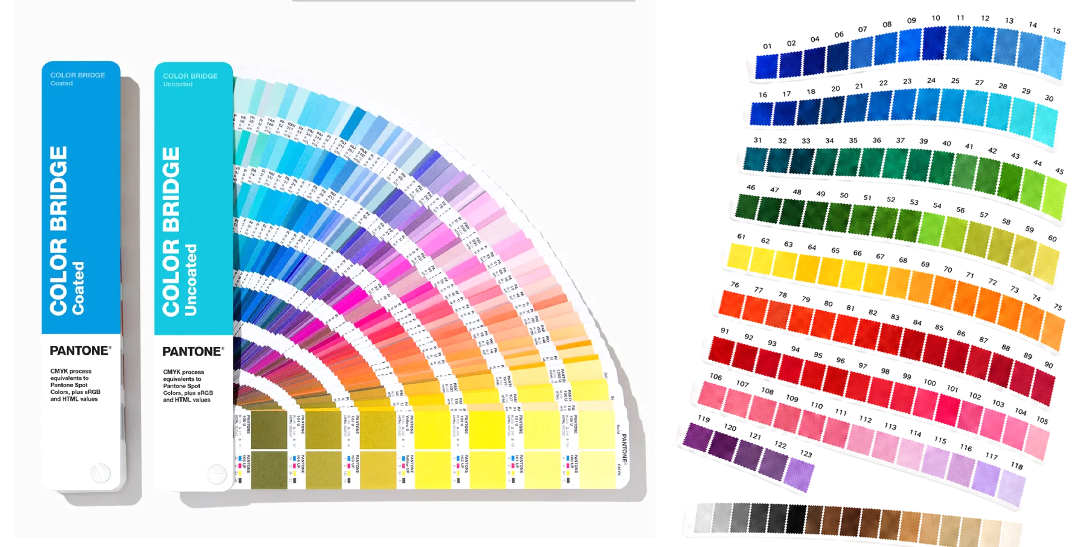 Color Options